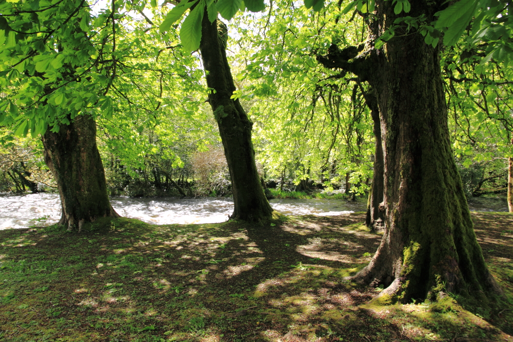 Waterfall, Oughterard, Galway