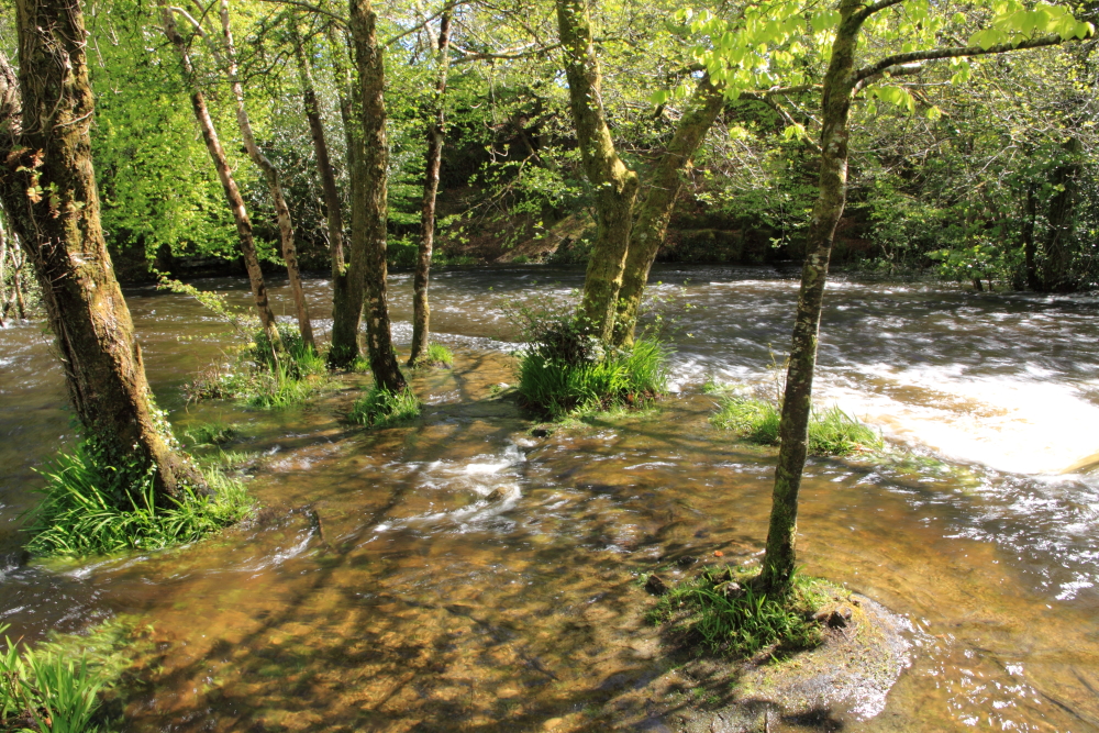 Waterfall, Oughterard, Galway
