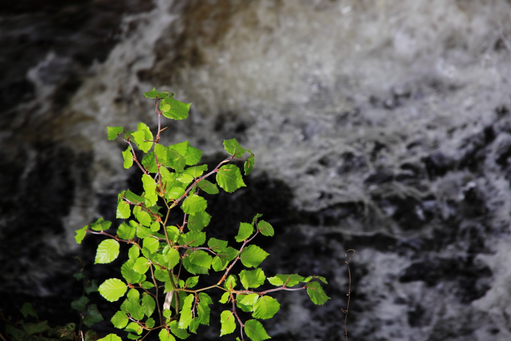 Waterfall, Oughterard, Galway