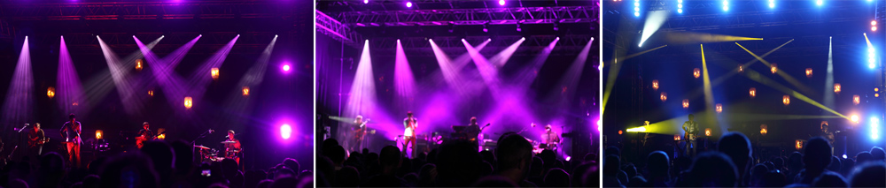 Grizzly Bear and The Stypes gig, Arts Festival 2013, Galway, Ireland