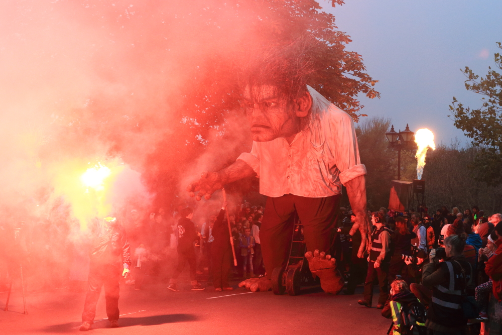 macnas parade 2014